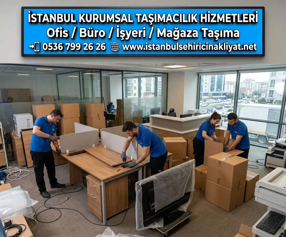 Profesyonel Büro Taşıma Çözümleri Firması